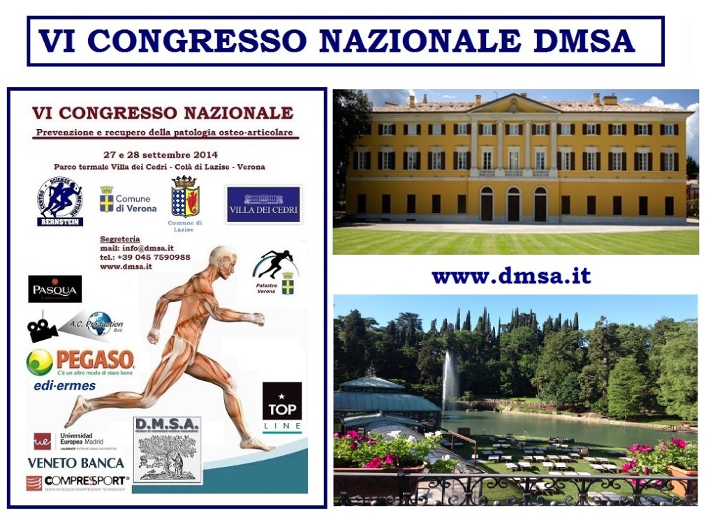 SFONDO VI CONGRESSO DMSA